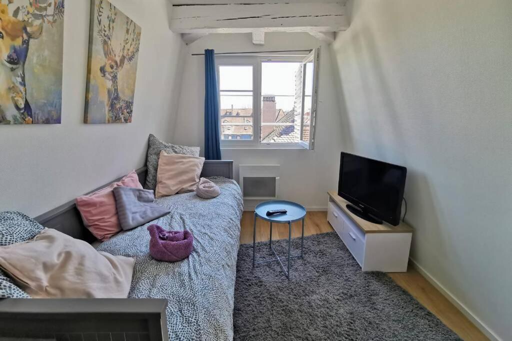 ** Appartement Cathedrale Strasbourg Centre** エクステリア 写真