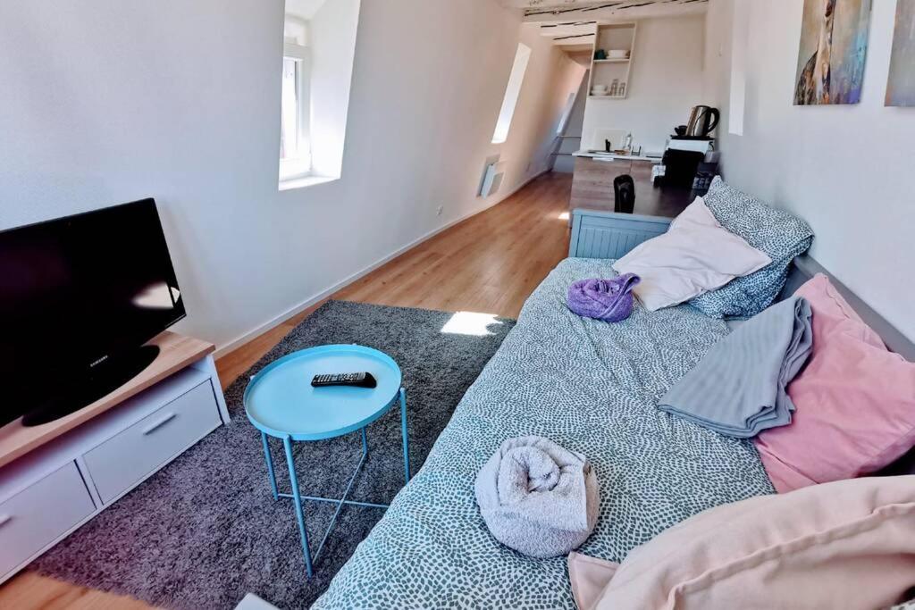 ** Appartement Cathedrale Strasbourg Centre** エクステリア 写真